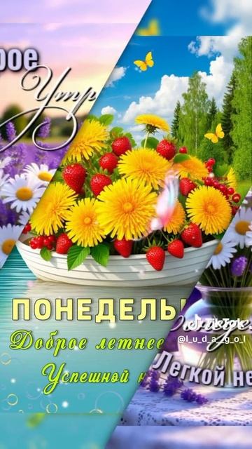 Удачной недели!