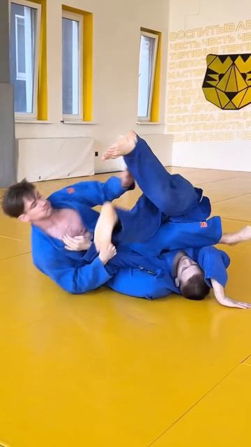 Болевой на руку со стойки
