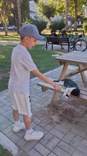 Милашный котик #котик #милашка