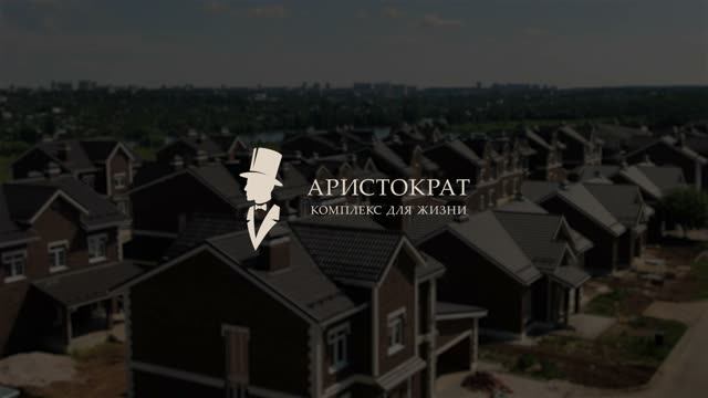 Коттеджный поселок с высоты птичьего полета