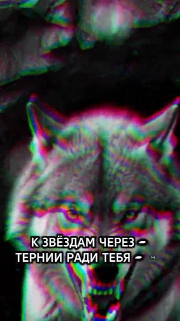 14-07-2026