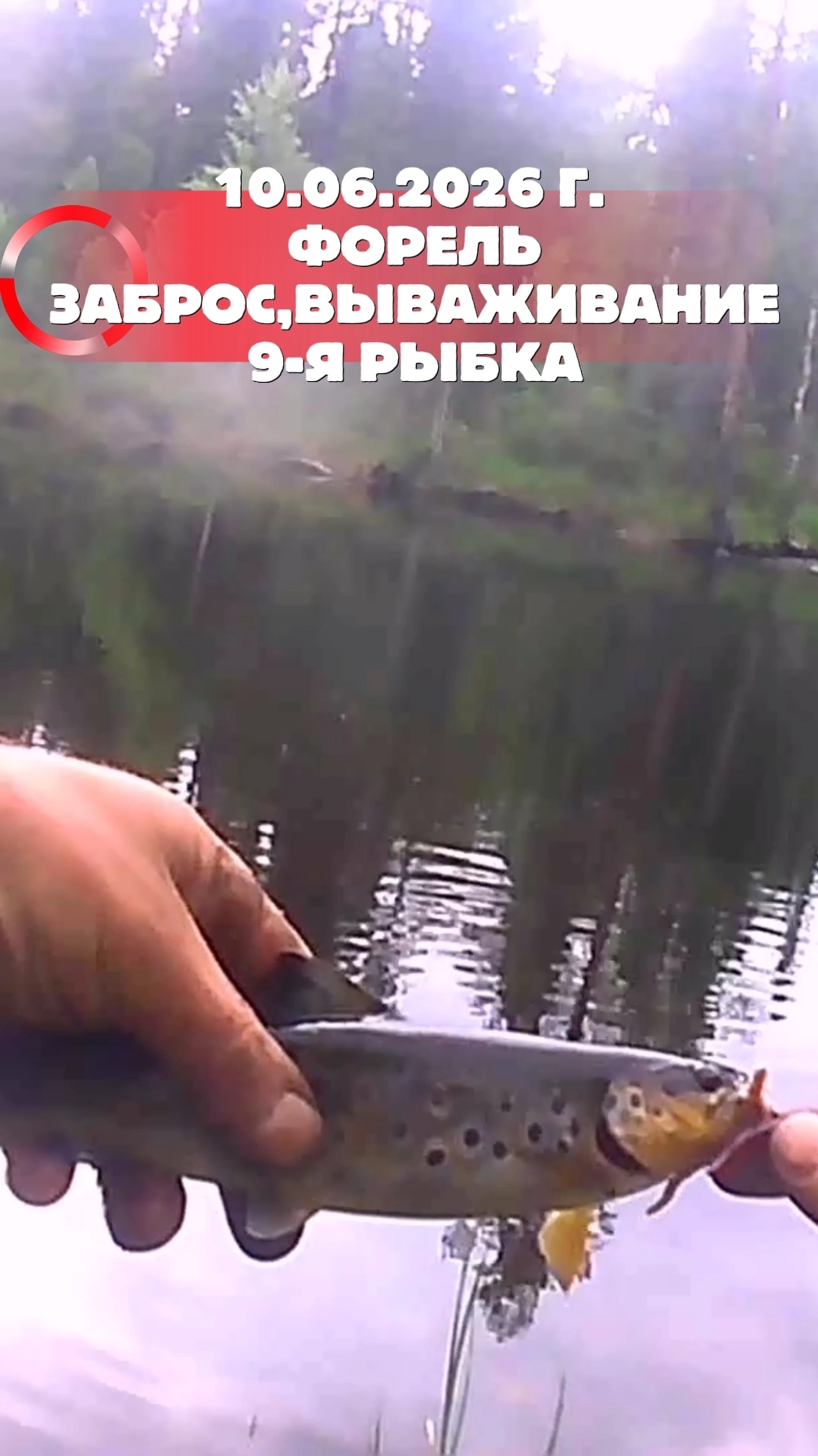 ФОРЕЛЕВОЕ ПИРШЕСТВО! 10.06.2026г. ОТЛИЧНЫЕ ПОКЛЕВКИ. КРАСАВИЦА ФОРЕЛЬ. ПОКЛЕВКА 9. #рыбалка #форель