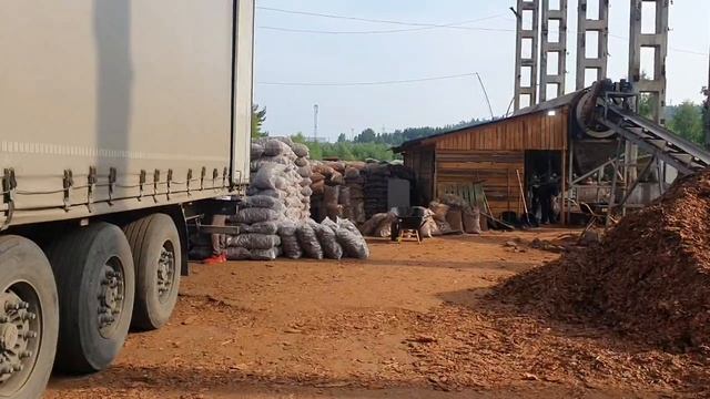 Кора Сибири Усть-Илимск