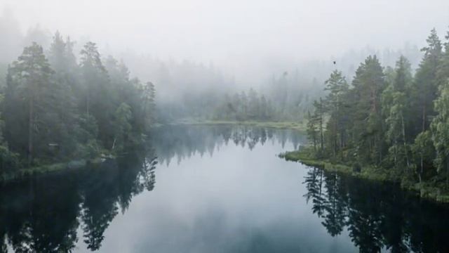 Верный страж перевала| сын тайги