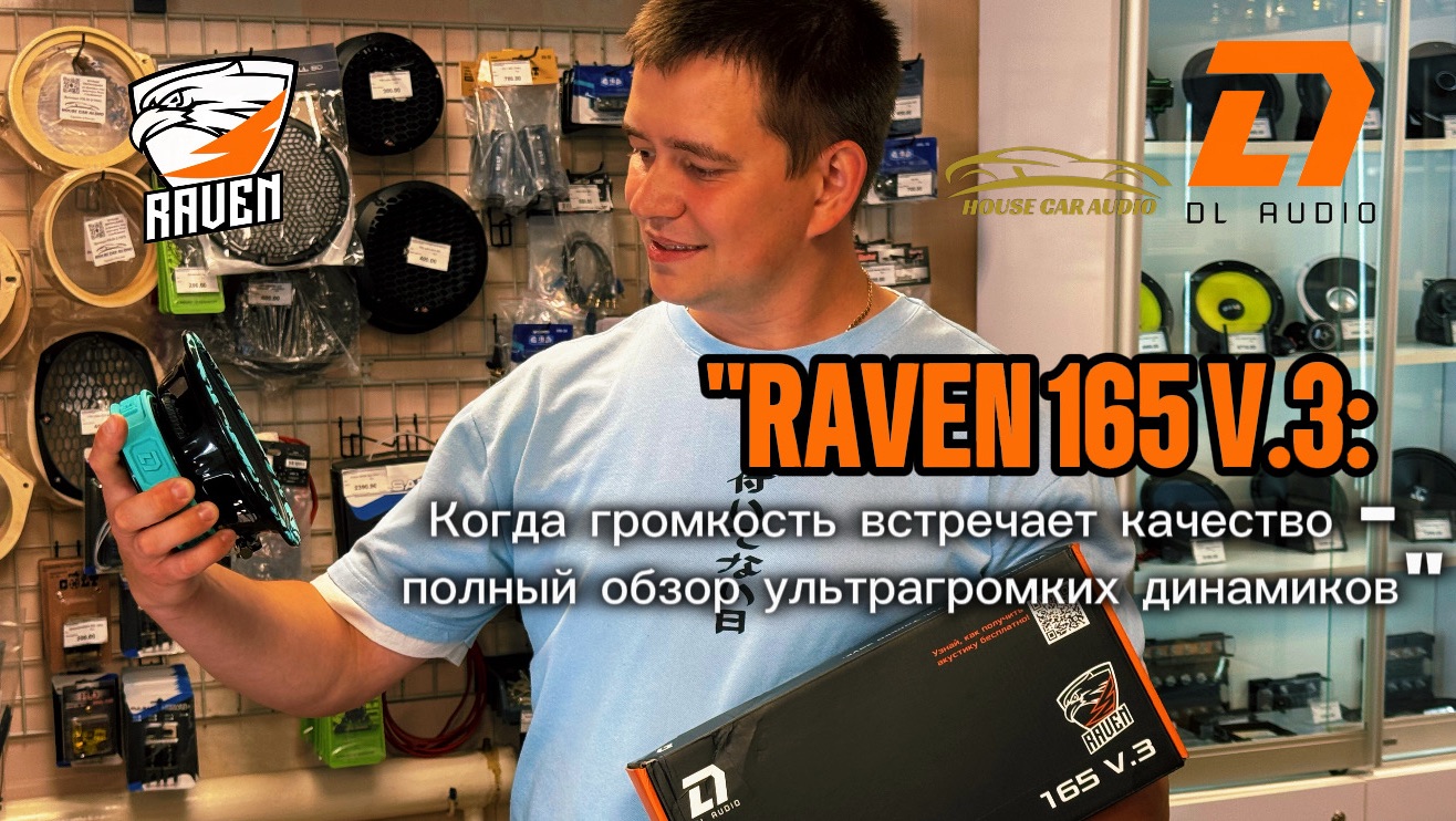 Обзор и прослушка громкой новинки от компании Dl audio Raven 165 v.3