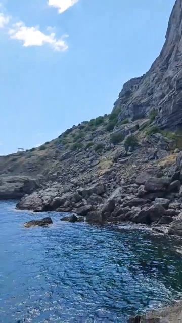 ✅Крым. Судак. Новый свет☀️ #rutube #отдыхвкрыму