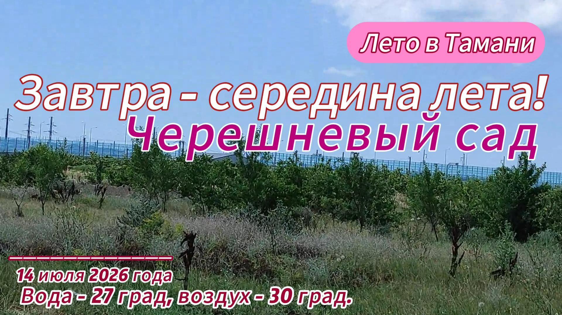Завтра - середина лета! Черешневый сад. Вода - 27 град. Воздух - 30 град.