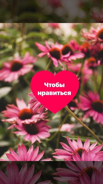 Привлечь внимание мужчины