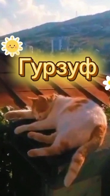 ГУРЗУФ