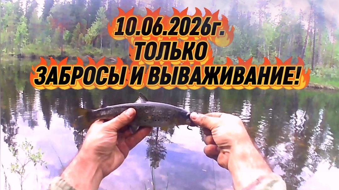 ФОРЕЛЬ - ТОЛЬКО ЗАБРОСЫ И ВЫВАЖИВАНИЕ! #природа #fishingvideo #рыбалка #ловляфорели #летняярыбалка