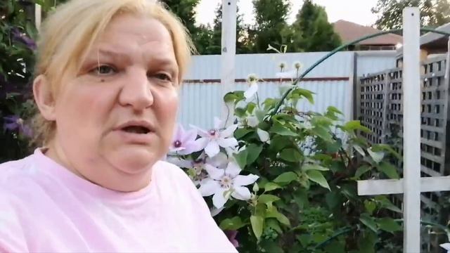 кто вы Алло??? обзор дач на Рутубе!!! Яичница без Спаржи.