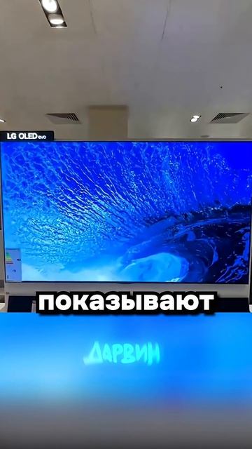 30 секунд бесполезной информации