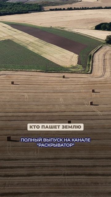 БАНКИ БОЛЬШЕ НЕ НУЖНЫ?