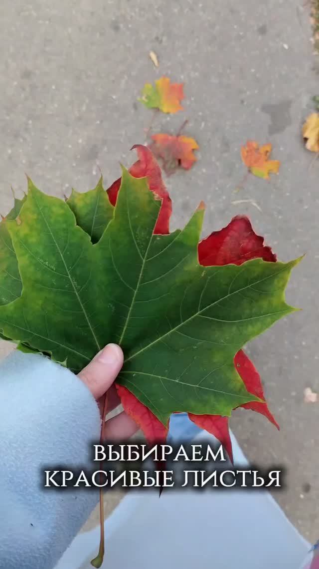 Окрашиваю одежду кленовыми листьями 🍁 и белизной