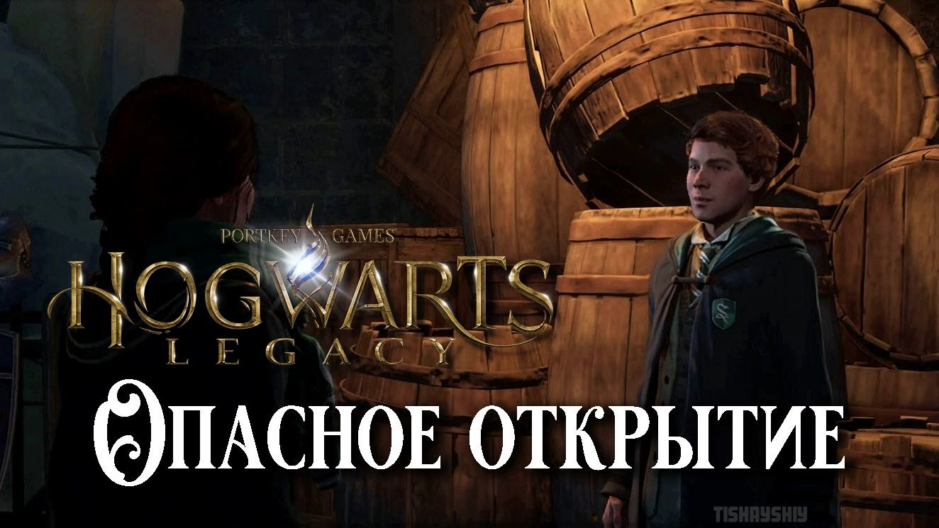 Опасное открытие. Hogwarts Legacy прохождение. In The Shadow Of Discovery