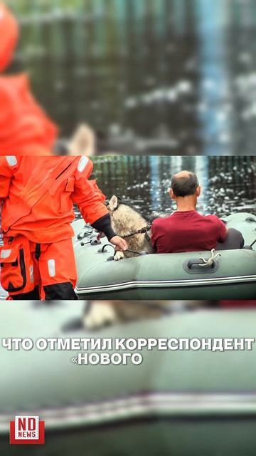 Паводок в Свердловской области. Обстановка сейчас.