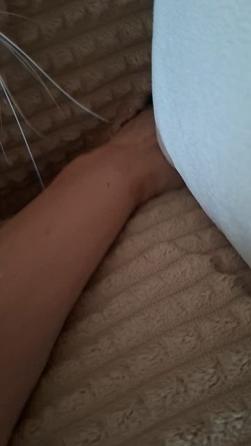 Что-то ищет в диване🔎
