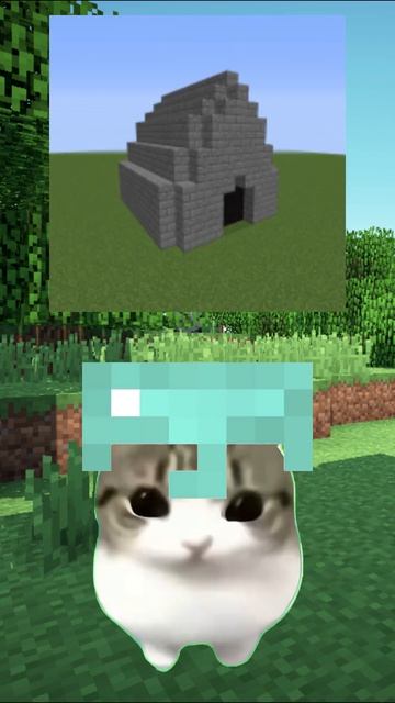 Minecraft Dam Dam Didi Didi Cat