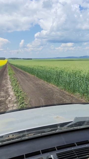 поля автомобиль