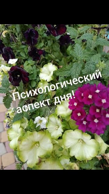 15.07.2026.✨🌈☀️Психологический аспект дня! Маленькие радости - большая ценность... Сопоставляйте...