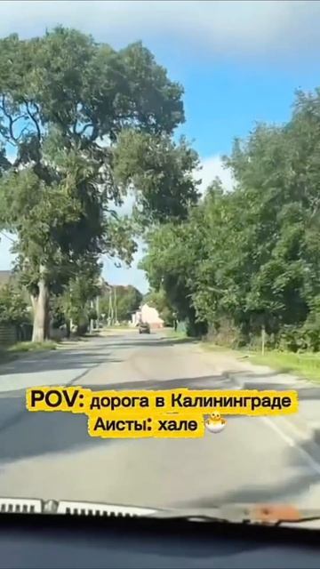 Видели такое? Мы да, но всё равно восхищаемся каждый раз 🤩Мы вообще впечатлительные.