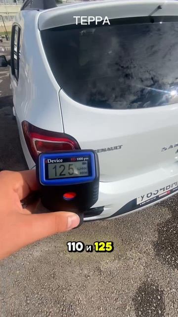 Renault Sandero Stepway