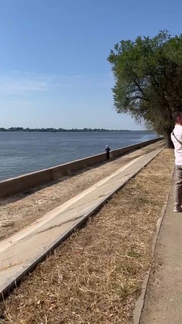 видео с наружи