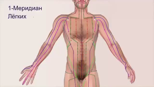 Энергетические меридианы человека