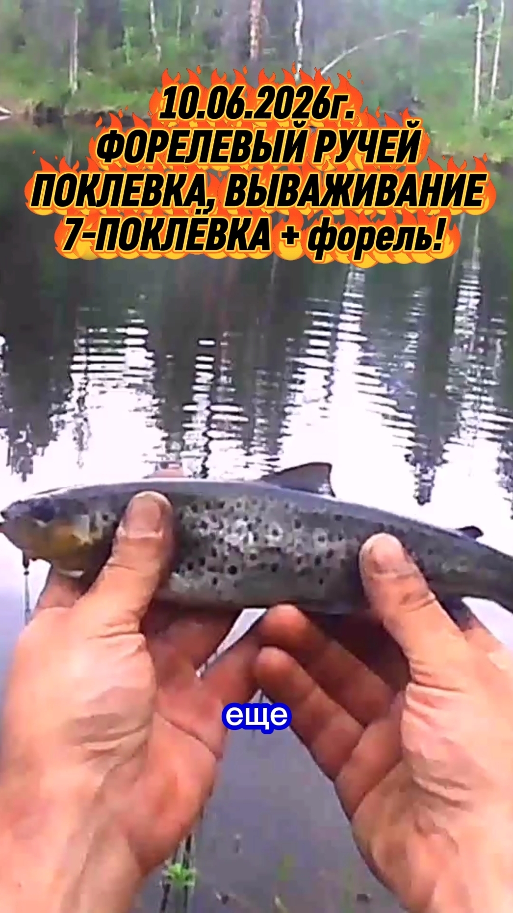 ФОРЕЛЕВОЕ ПИРШЕСТВО! 10.06.2026г. ОТЛИЧНЫЕ ПОКЛЕВКИ. КРАСАВИЦА ФОРЕЛЬ. ПОКЛЕВКА 7. #рыбалка #форель