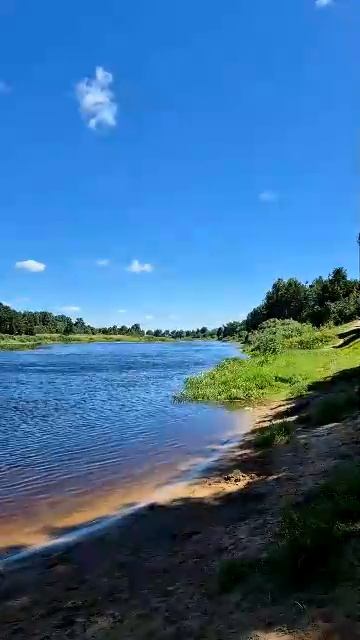 Берег реки