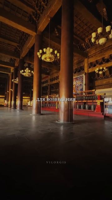 Самое редкое дерево в мире.