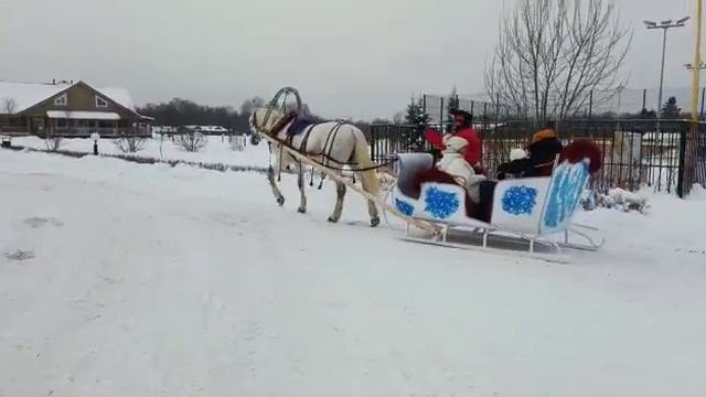 Катание на санях