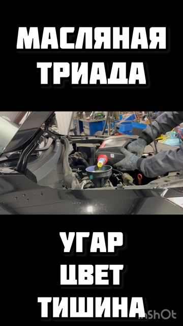 Моторное масло которое не хуже Mobil Shell