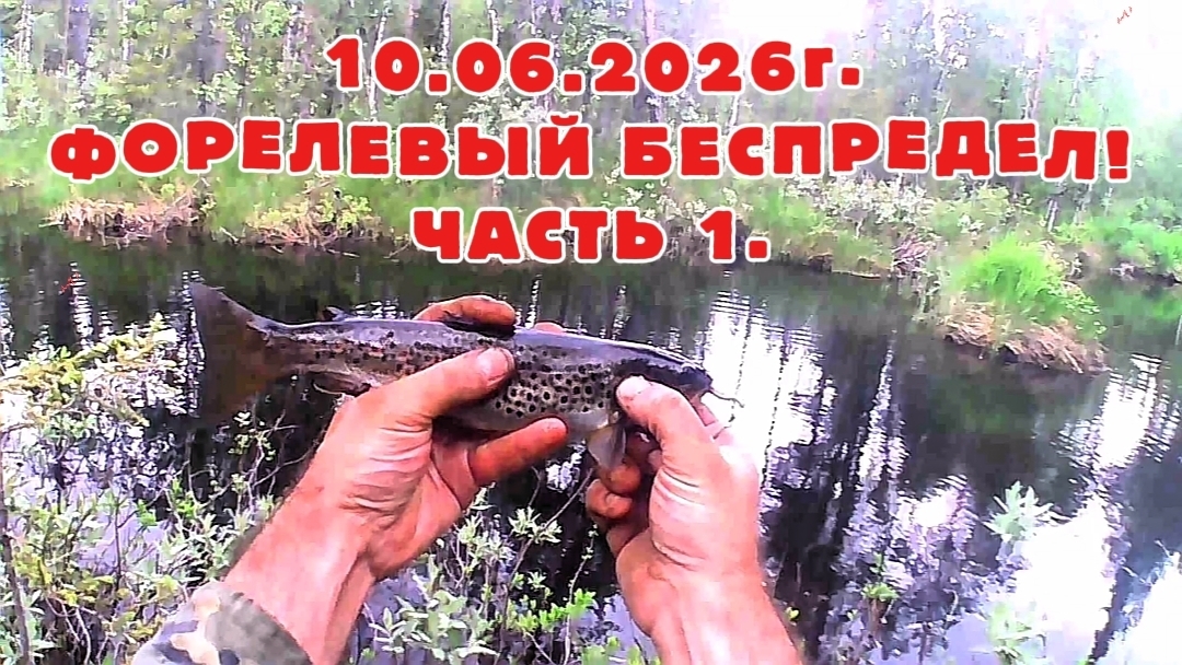ФОРЕЛЬ РАЗГИБАЕТ КРУЧКИ И РВЁТ КАМЕРУ! ФОРЕЛЕВЫЙ БЕСПРЕДЕЛ! ЧАСТЬ 1. #2026 #форель #форельначервя