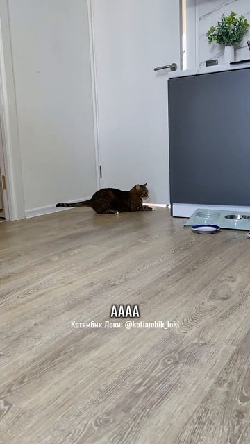 Важное дело😁