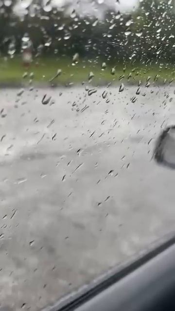 Замурчательно, свежесть на несколько дней🌦🌦🌦