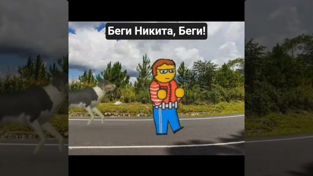 Похождения Никиты. Часть вторая.
