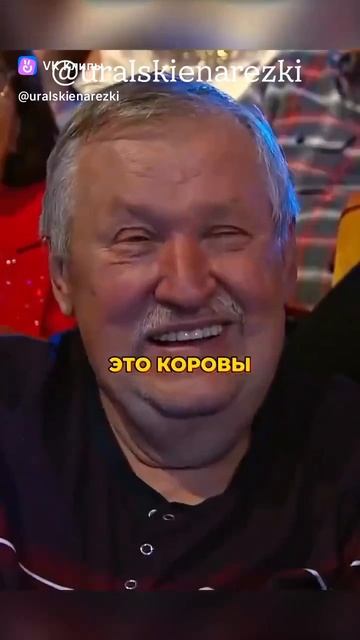 COYOTA Корова