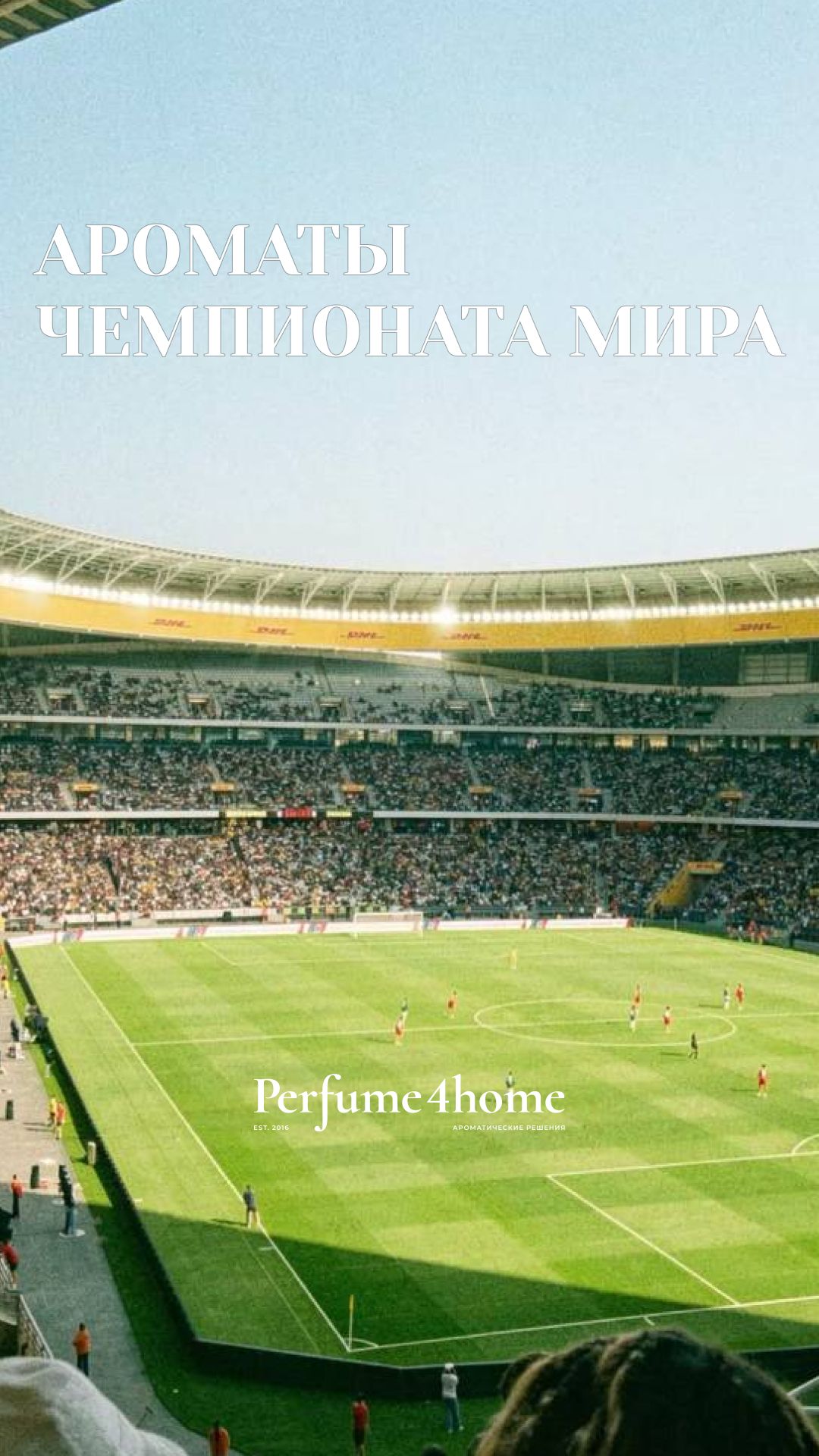 Ароматы чемпионата мира