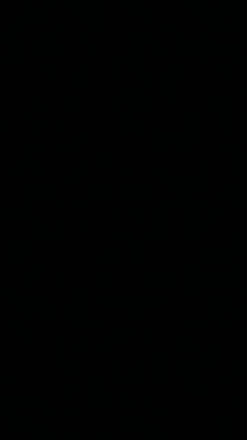 1000003605.mp4