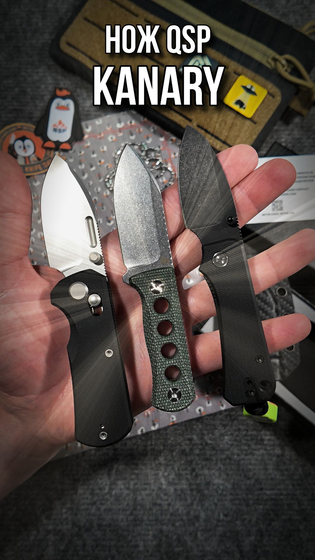 🔥 Нож QSP Canary #qspknife #edc #edcknife #unboxing