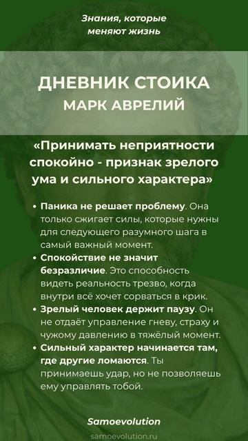 ДНЕВНИК СТОИКА. МАРК АВРЕЛИЙ #МаркАврелий