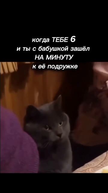 #юмор#прикол