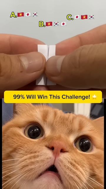 🐱 99% людей не пропустят это кошачье испытание! 😅