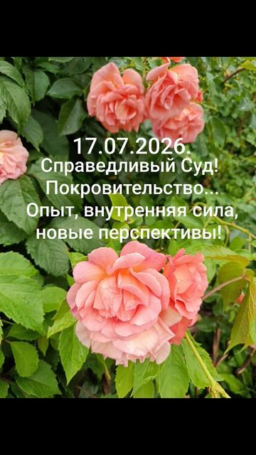 17.07.2026.✨🌈☀️Психологический аспект! Справедливый Суд! Покровительство, опыт, сила, перспективы!