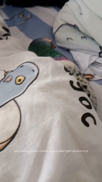 что с гулей?