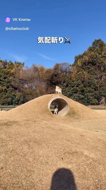 Потерял друга