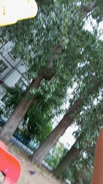 мой друг Ярик ловит голубя в руки