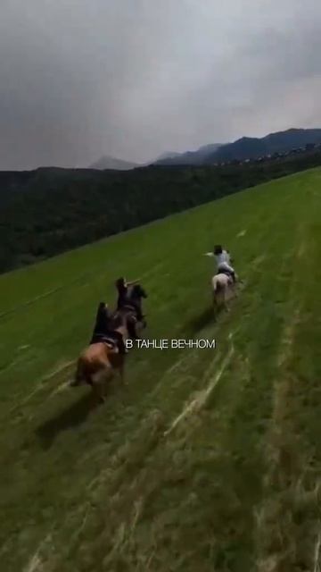 А что для вас спокойствие?