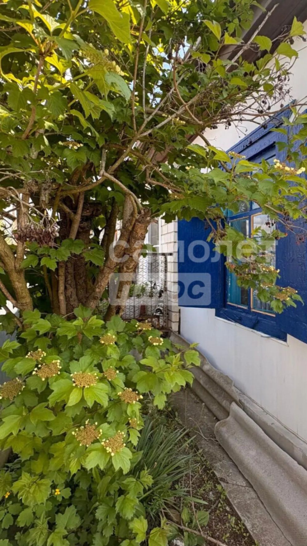 Самолет Плюс ꓲ 2 комн.кв 31.2 м² этаж 1/1 г. Апшеронск